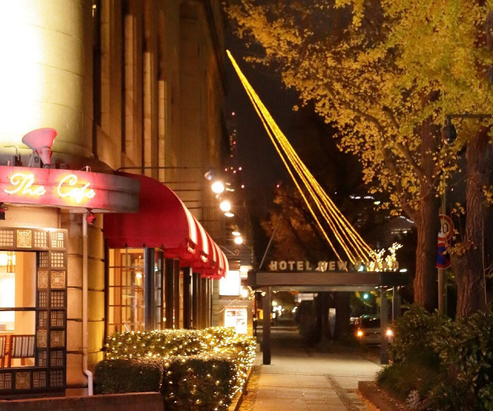 Hotel New Grand (7)